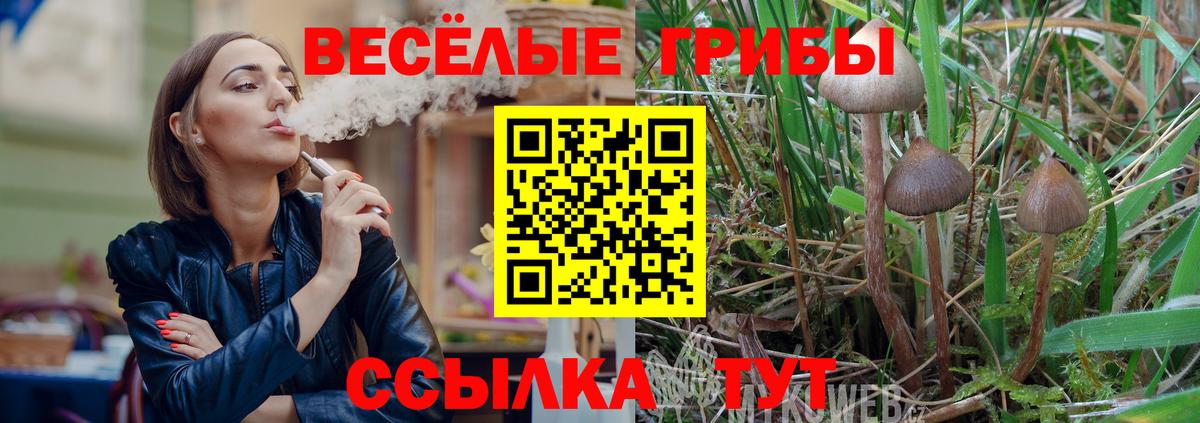 Псилоцибиновые грибы Cubensis  Вход с VPN  наркошоп  Галлюциногенные грибы Cubensis  Дзержинский 